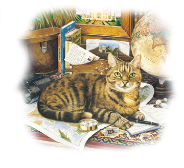 Gatto 1